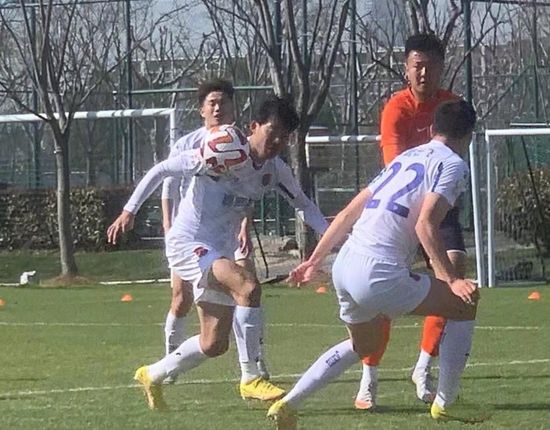 一仆二主电视剧免费观看